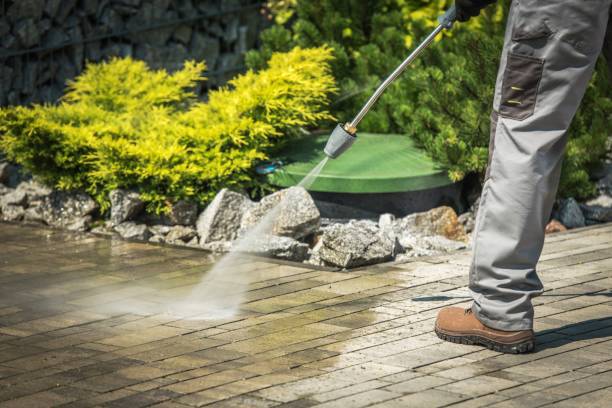 Best Roof Washing  in Bagdad, FL