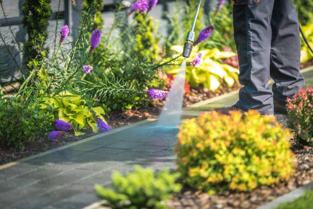 Best Fence Cleaning  in Bagdad, FL
