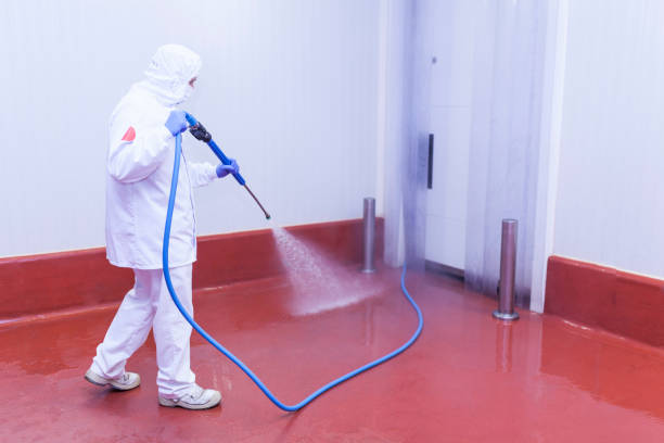 Best Pre-Holiday Cleaning  in Bagdad, FL