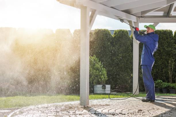 Best Animal Enclosure Cleaning  in Bagdad, FL